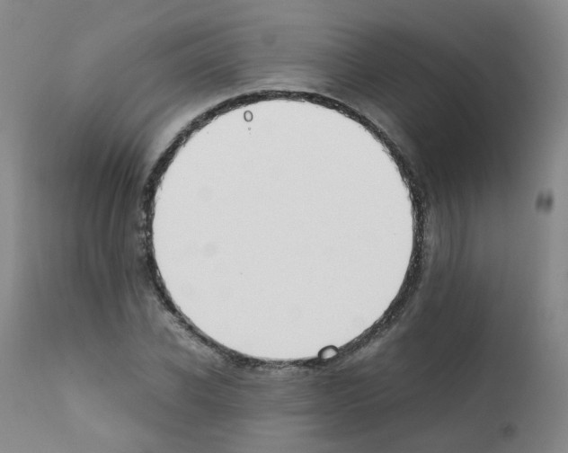 X0000111780926200909031130