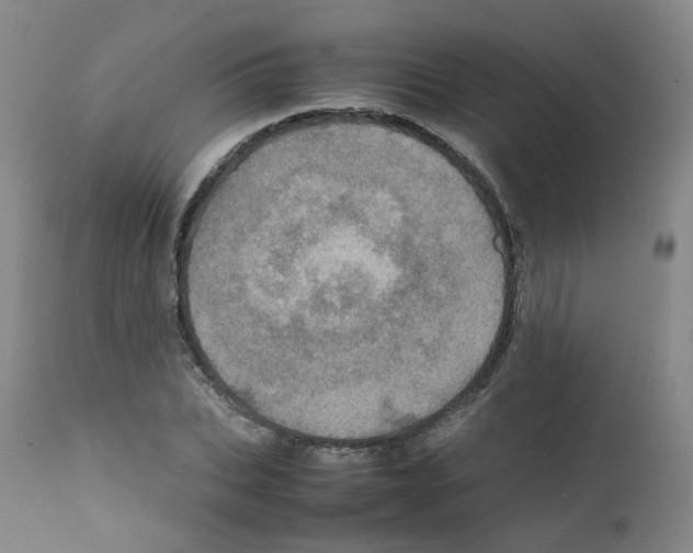 X0000111780927200909031130
