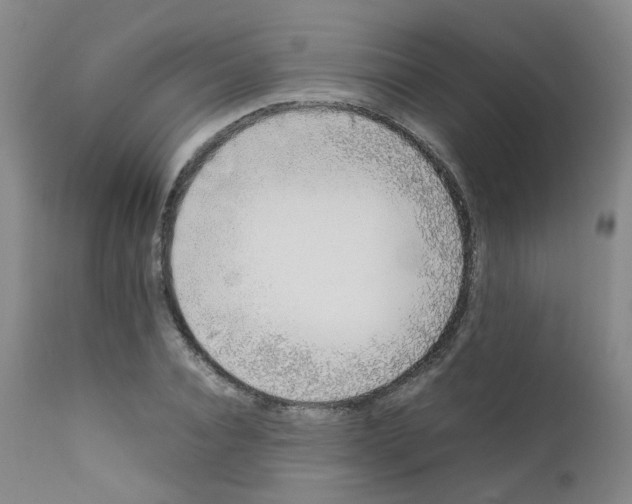 X0000111780928200909031130