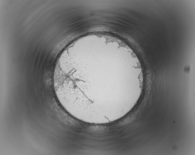 X0000111780929200909031130