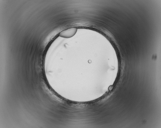 X0000111780930200909031130