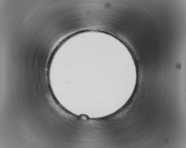 X0000111780932200909031130