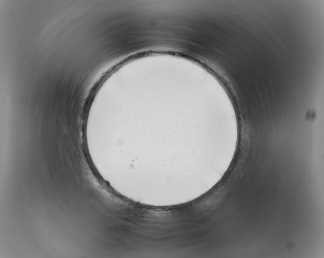 X0000111780935200909031130