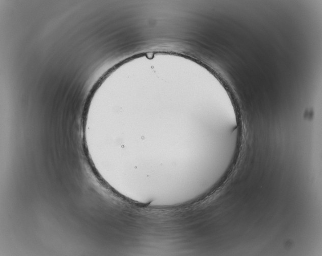 X0000111780936200909031130