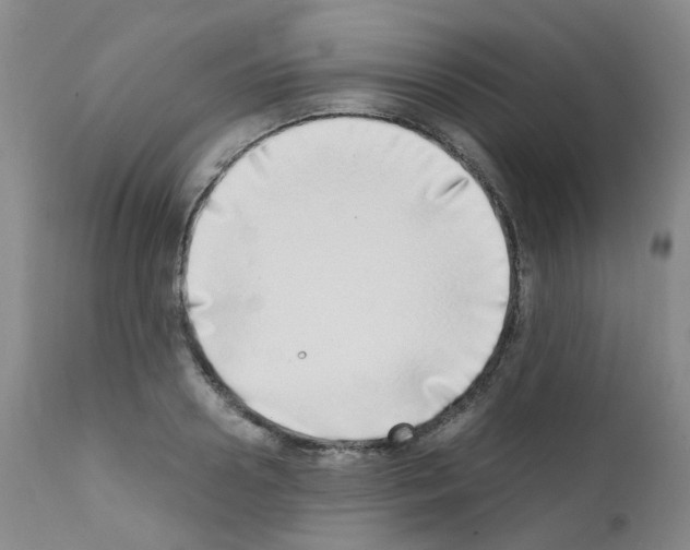 X0000111780938200909031130