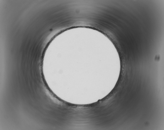 X0000111780942200909031130
