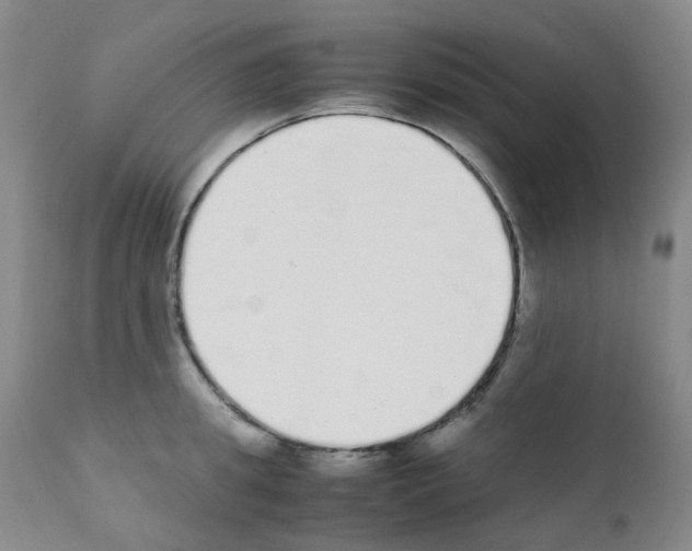 X0000111780949200909031130
