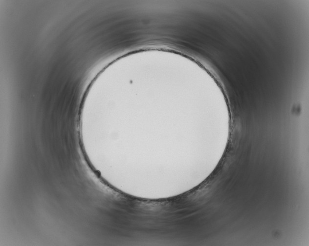 X0000111780951200909031130