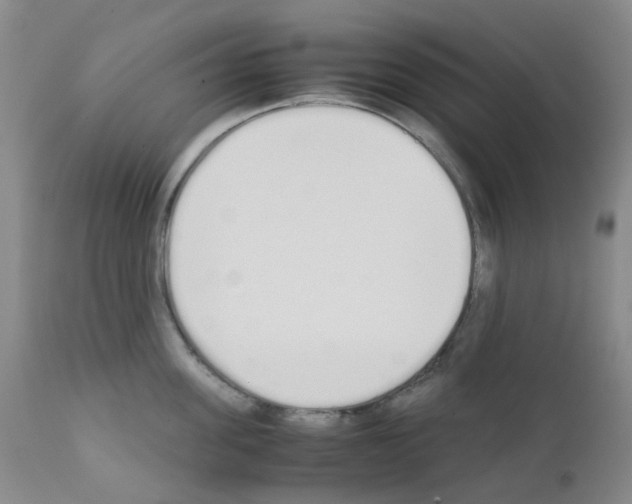 X0000111780955200909031130