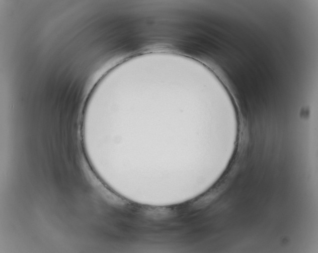 X0000111780957200909031130