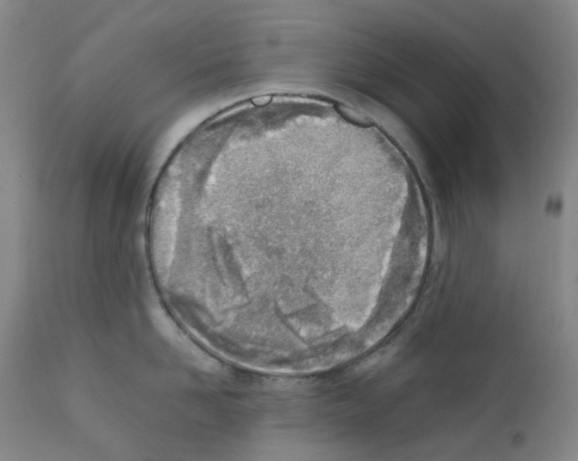 X0000111780958200909031130