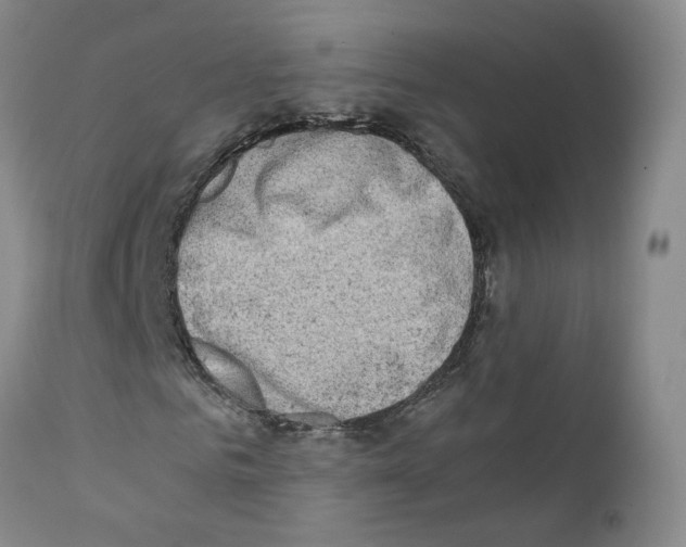 X0000111780961200909031130