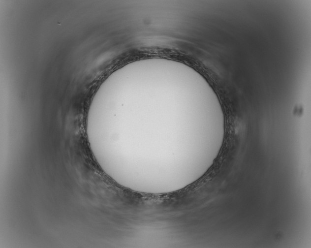 X0000111780965200909031129