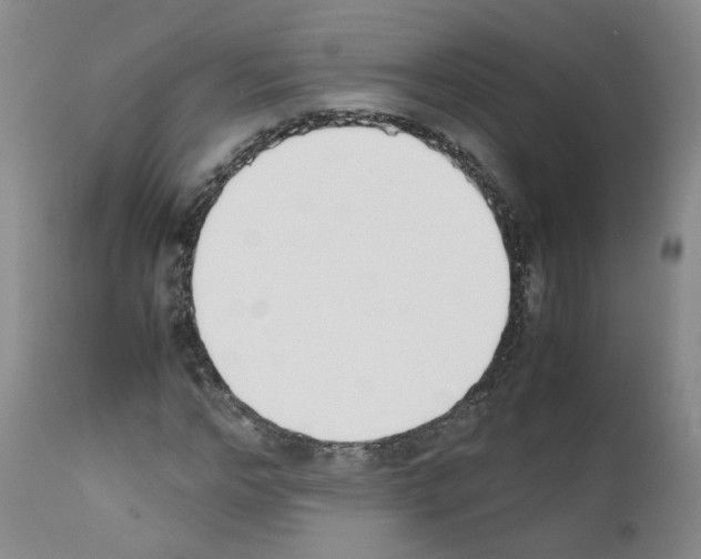 X0000111780968200909031129