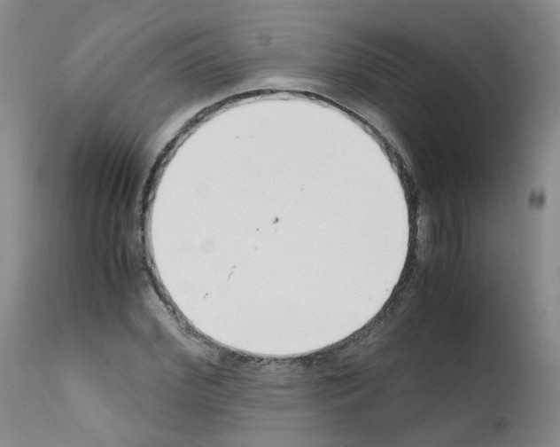 X0000111780972200909031129
