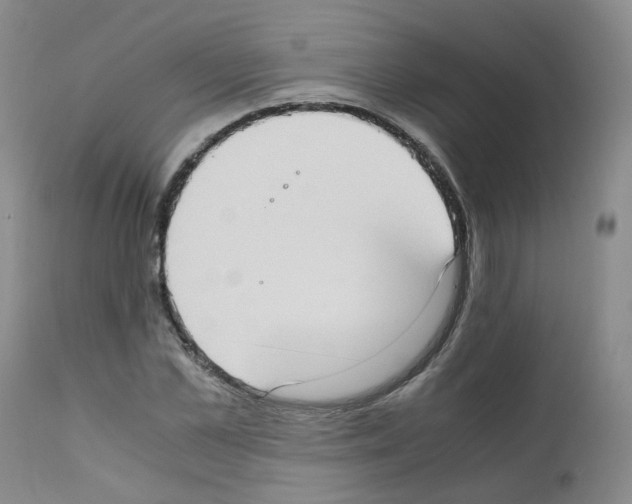 X0000111780973200909031129