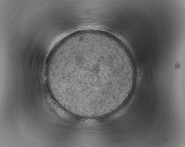 X0000111780974200909031129