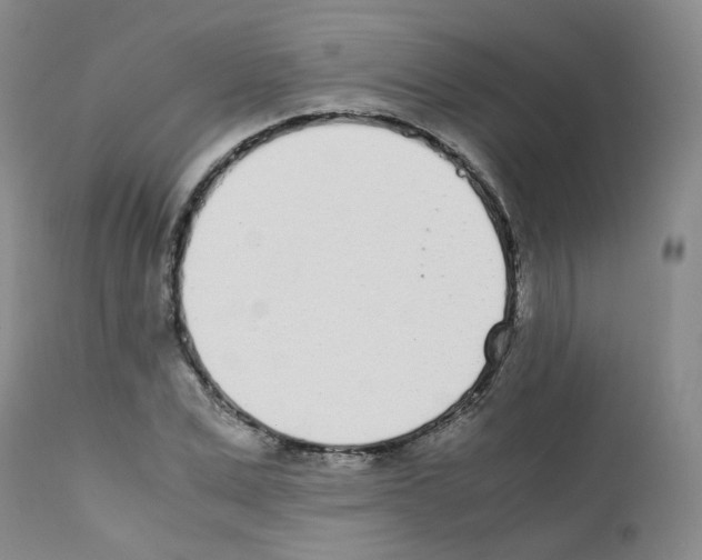 X0000111780975200909031129