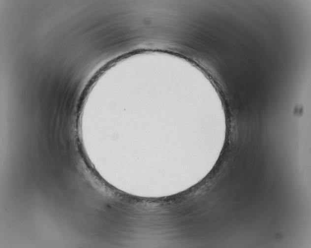 X0000111780976200909031129