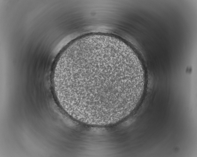 X0000111780978200909031129