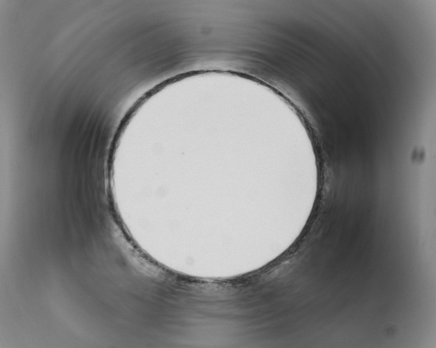X0000111780980200909031129