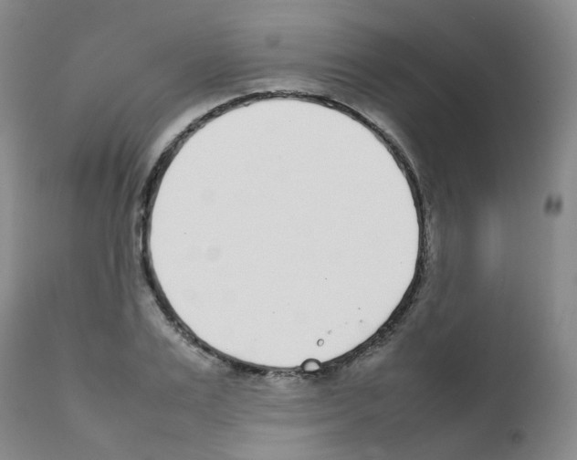 X0000111780983200909031129