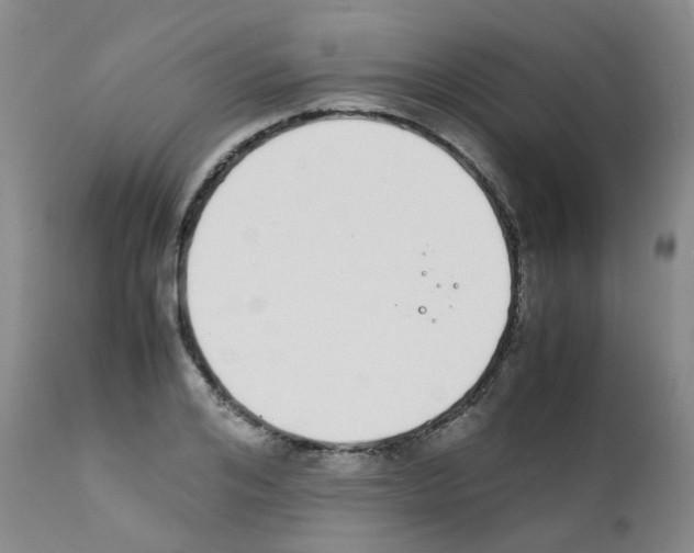 X0000111780984200909031129
