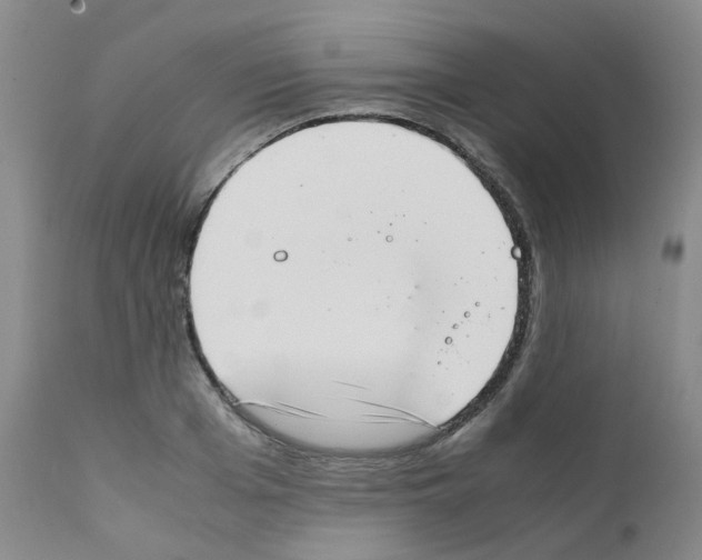 X0000111780985200909031129