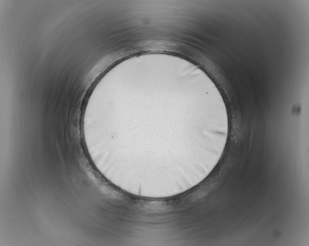 X0000111780986200909031129