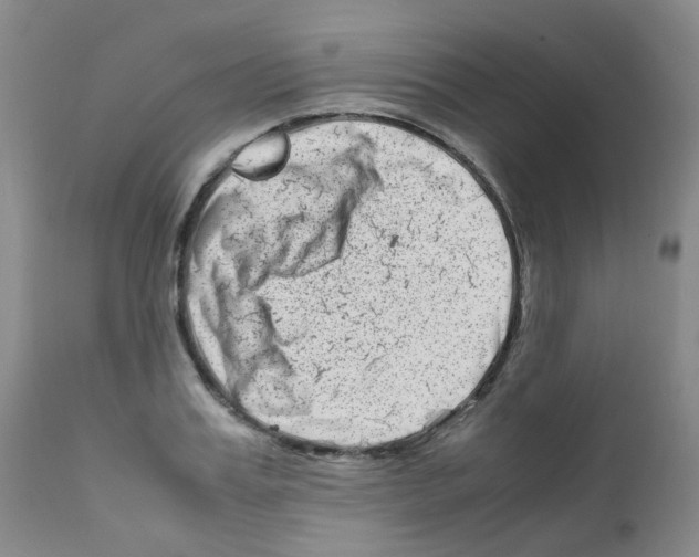 X0000111780987200909031129