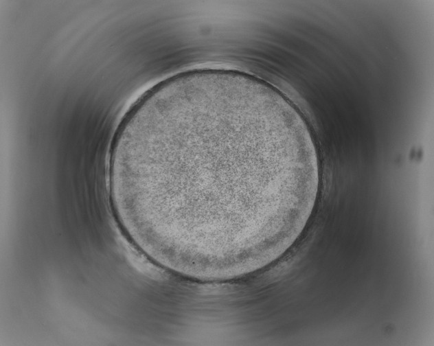 X0000111780988200909031129
