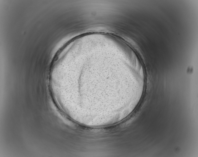 X0000111780989200909031129