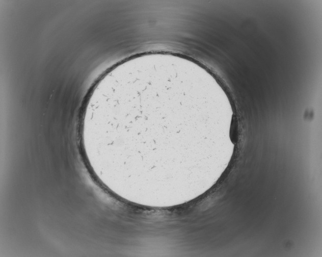 X0000111780991200909031129