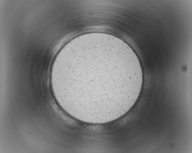 X0000111780994200909031129