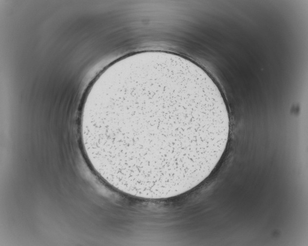 X0000111780995200909031129