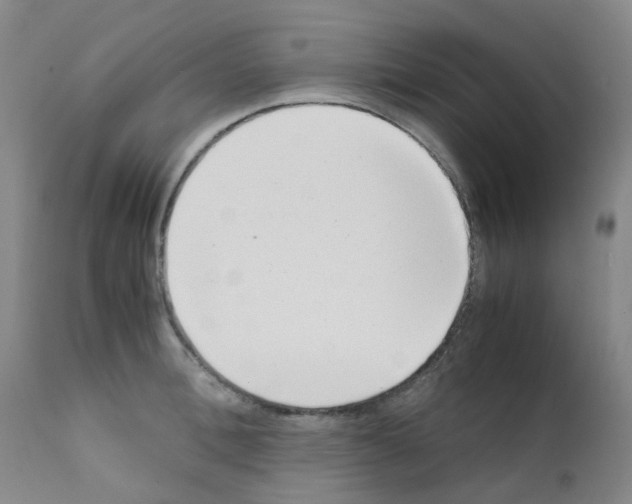 X0000111780996200909031129