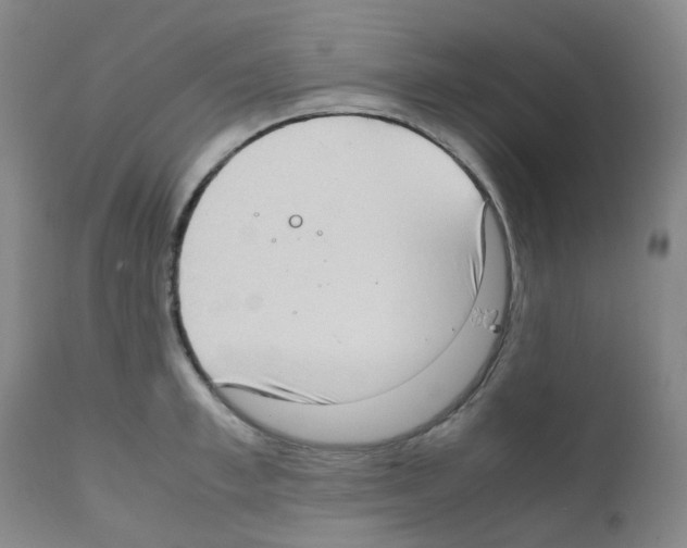 X0000111780997200909031129