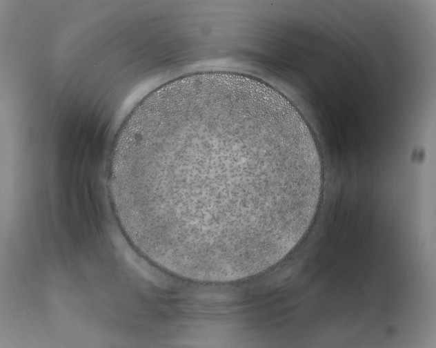 X0000111780998200909031129