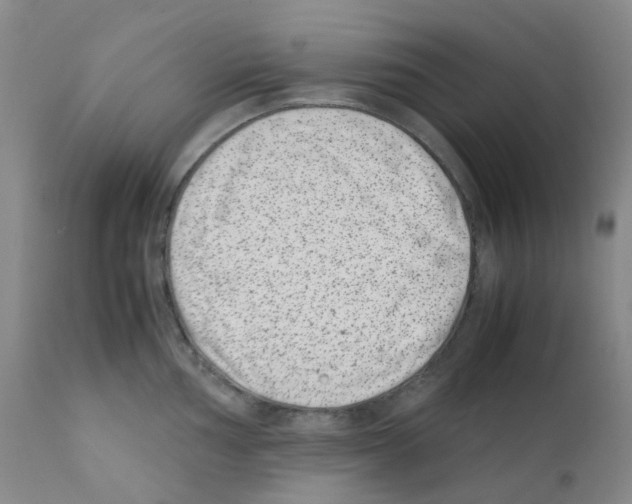 X0000111781002200909031129