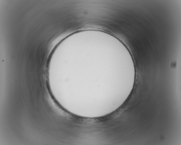 X0000111781003200909031129