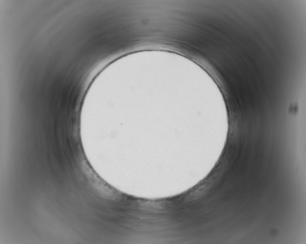X0000111781004200909031129