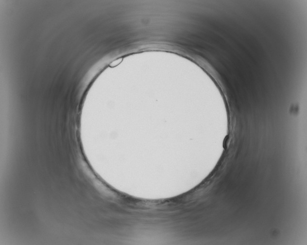 X0000111781005200909031129