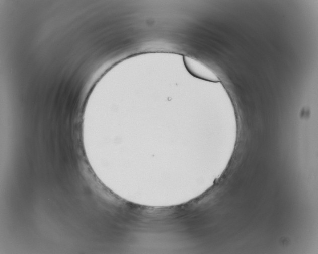 X0000111781008200909031129
