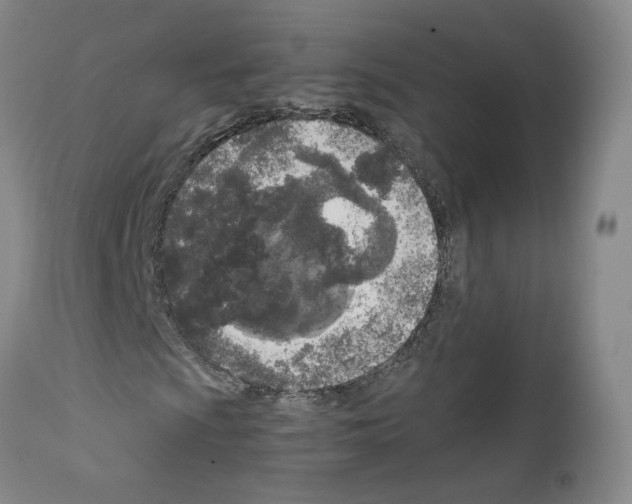 X0000111781009200909031128