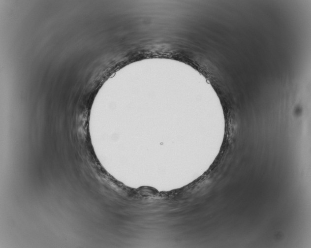 X0000111781010200909031128