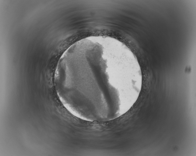 X0000111781013200909031128