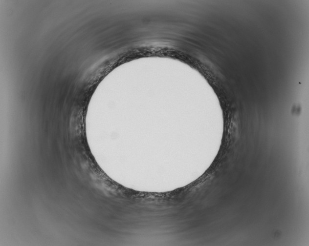 X0000111781014200909031128