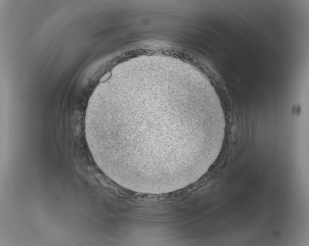 X0000111781016200909031128