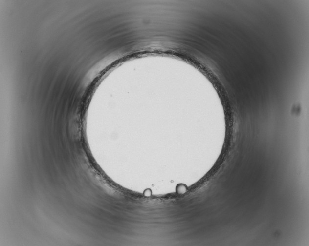 X0000111781018200909031128