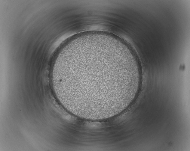 X0000111781019200909031128